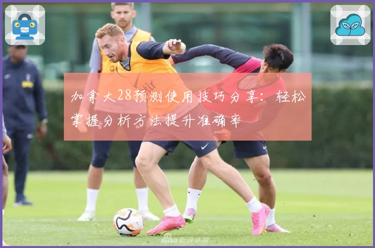 加拿大28预测使用技巧分享：轻松掌握分析方法提升准确率