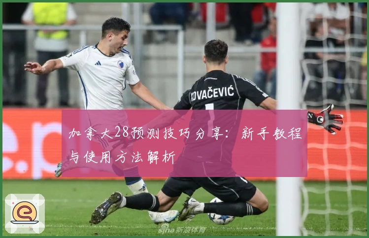 加拿大28预测技巧分享：新手教程与使用方法解析