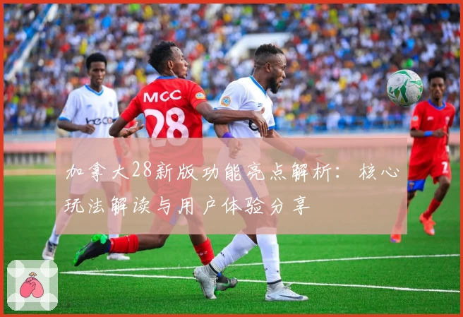 加拿大28新版功能亮点解析:核心玩法解读与用户体验分享
