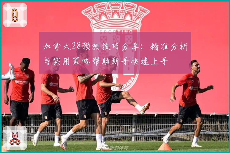 加拿大28预测技巧分享：精准分析与实用策略帮助新手快速上手