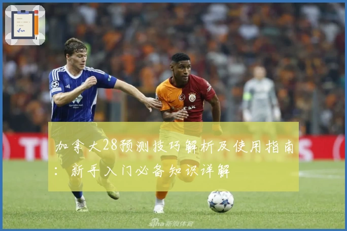 加拿大28预测技巧解析及使用指南：新手入门必备知识详解
