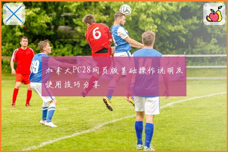 加拿大PC28网页版基础操作说明及使用技巧分享