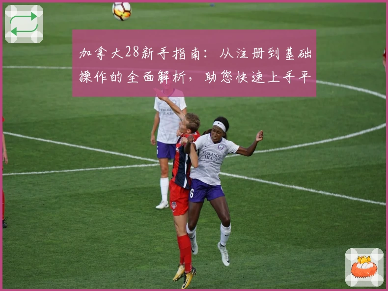 加拿大28新手指南：从注册到基础操作的全面解析，助您快速上手平台功能
