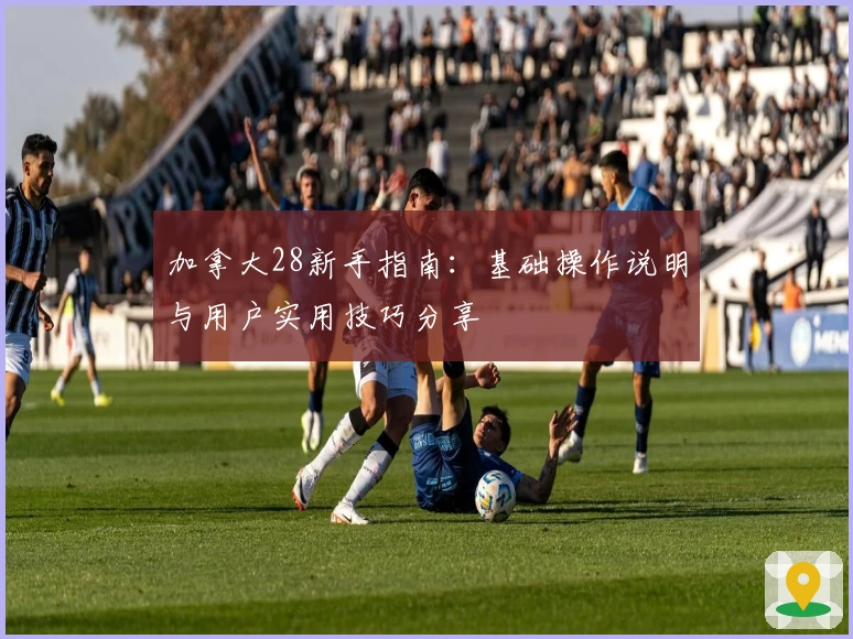 加拿大28新手指南：基础操作说明与用户实用技巧分享