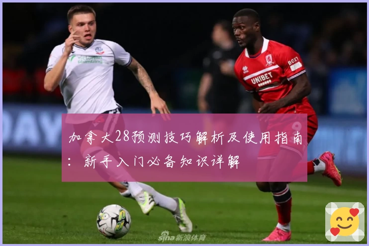 加拿大28预测技巧解析及使用指南:新手入门必备知识详解