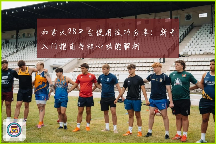 加拿大28平台使用技巧分享：新手入门指南与核心功能解析