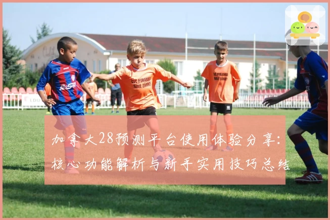 加拿大28预测平台使用体验分享：核心功能解析与新手实用技巧总结